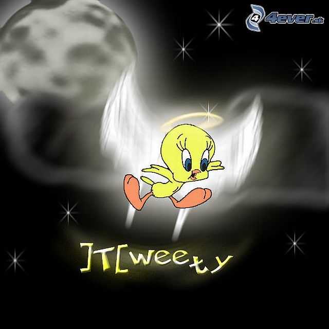 [obrazky.4ever.sk] tweety, anjel 6227830.jpg