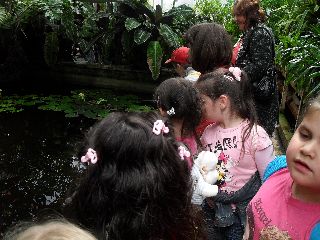 SAM_0145.jpg