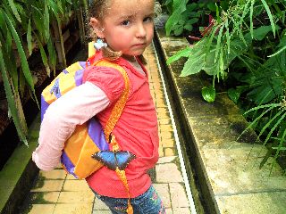 SAM_0173.jpg