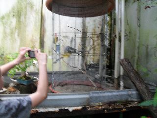 SAM_0198.jpg
