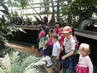 SAM_0203.jpg