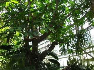 SAM_0204.jpg