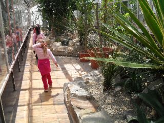 SAM_0210.jpg