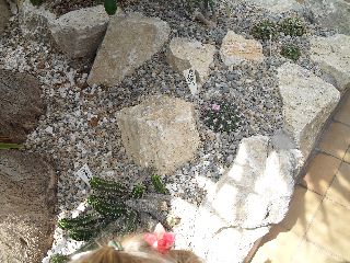 SAM_0219.jpg