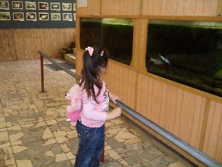 SAM_0231.jpg