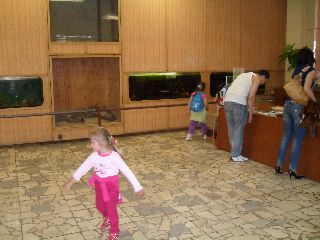 SAM_0235.jpg