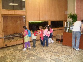 SAM_0236.jpg