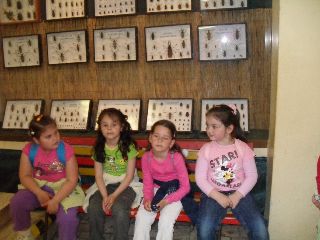 SAM_0241.jpg