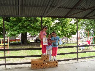 SAM_0291.jpg