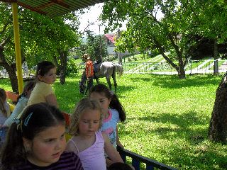 SAM_0356.jpg