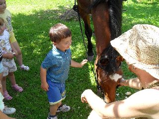 SAM_0371.jpg