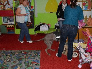SAM_0517.jpg