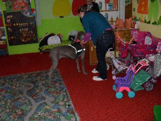 SAM_0520.jpg