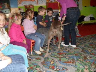 SAM_0522.jpg