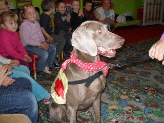 SAM_0523.jpg