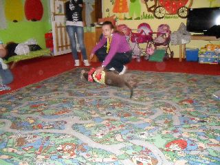 SAM_0527.jpg
