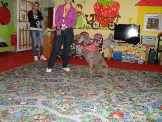 SAM_0529.jpg