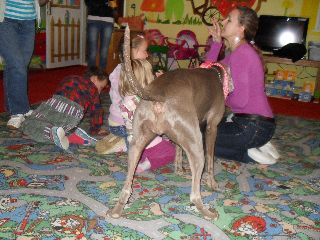 SAM_0534.jpg