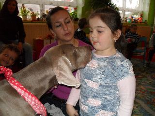 SAM_0540.jpg